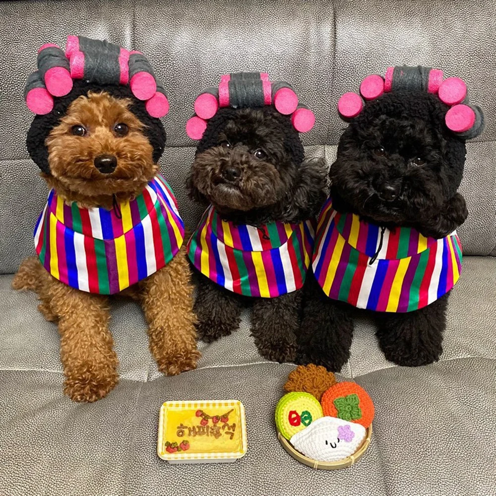 Halloween Cat Headdress Pet Small Dog Cats Costume Funny Wig Cap Hat for Cat Dogs Cute Fancy Costume Cosplay Toy Pet Supplies