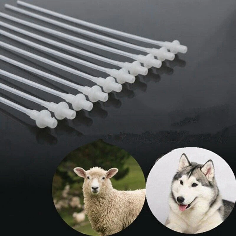 

50PCS Artificial Insemination Rods Breeding Catheter Tube Dog Sheep Goat 10 Inch