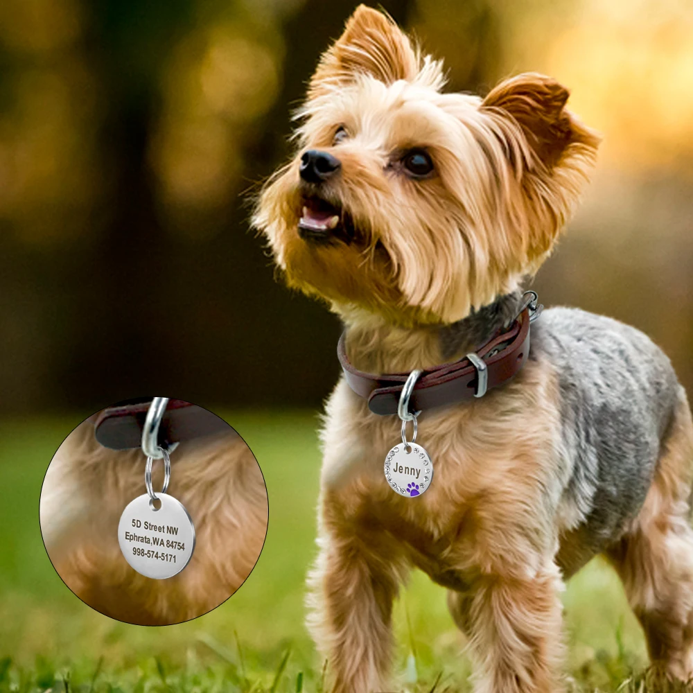 Персонализированная гравировка Pet Cat Name Custom Dog Identity Tag Ошейник След Flash Подвеска