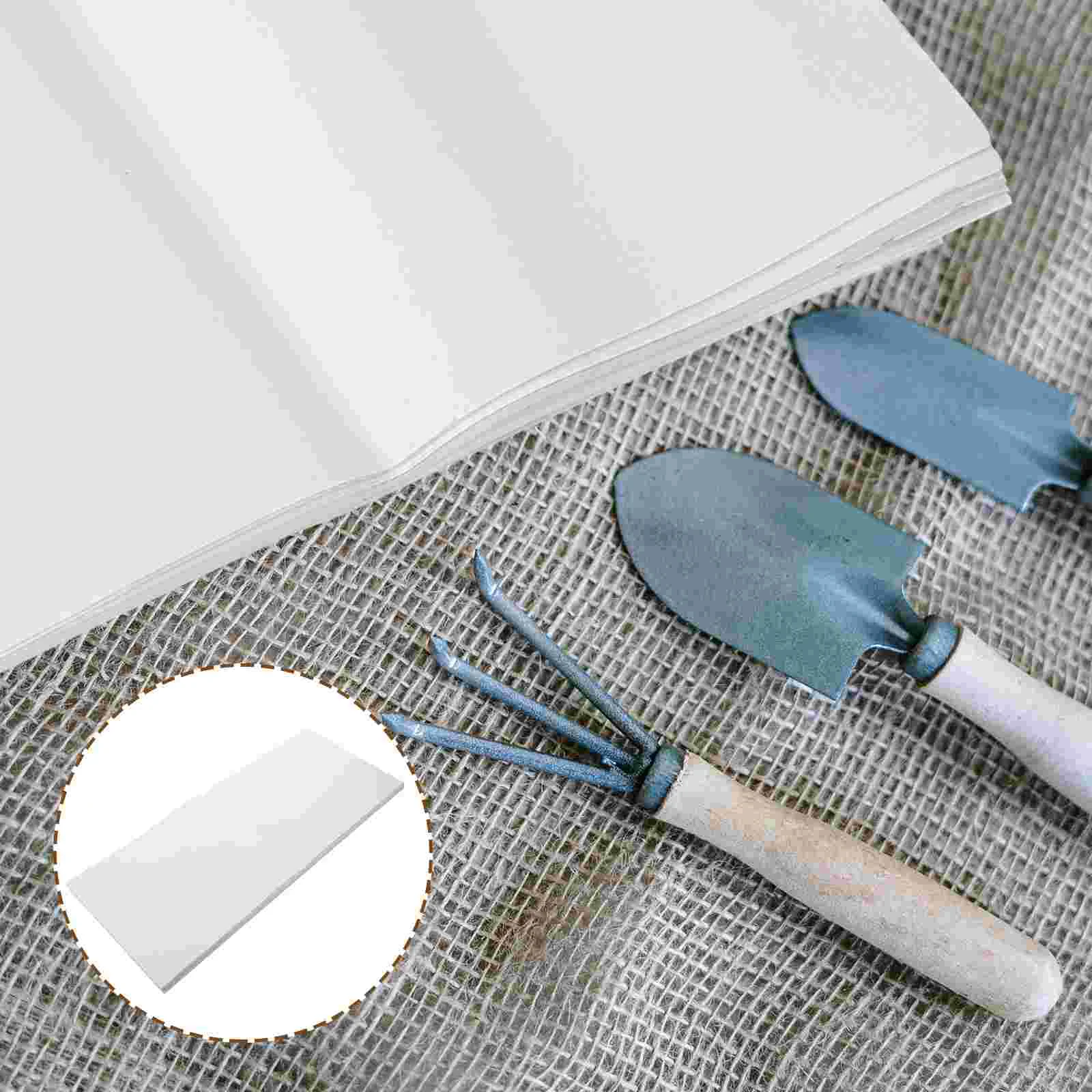 Прорастание бумаги для растений герметичные ростки рассады пшеницы светло-серые