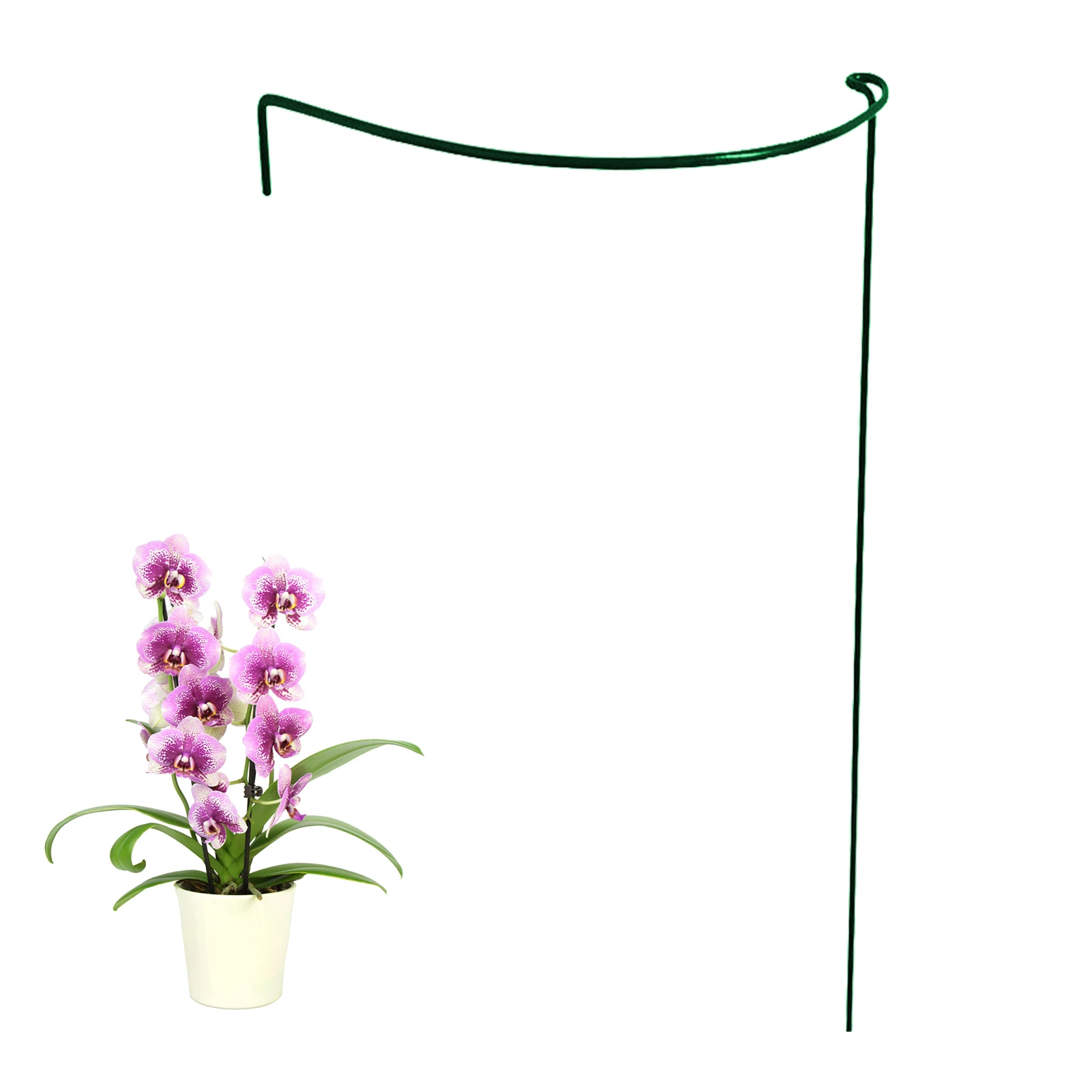 

Garden Support Stakes Half Round Metal Plant Support Stakes Green Climbing Plant Stakes For Indoor Plants For Tidy Up Borders