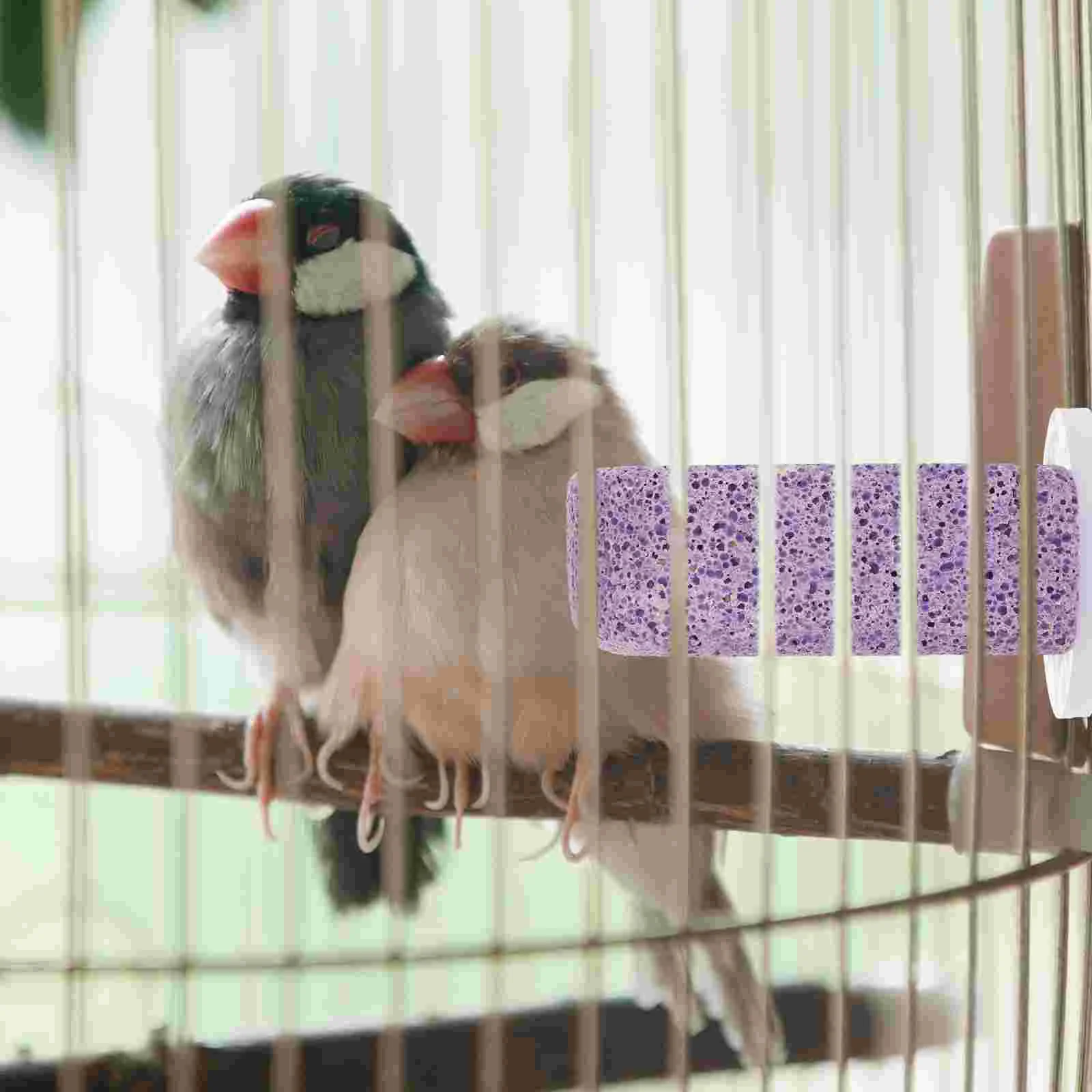 Постоянная стойка для попугая клетка птиц окунь попугаев аксессуары платформа