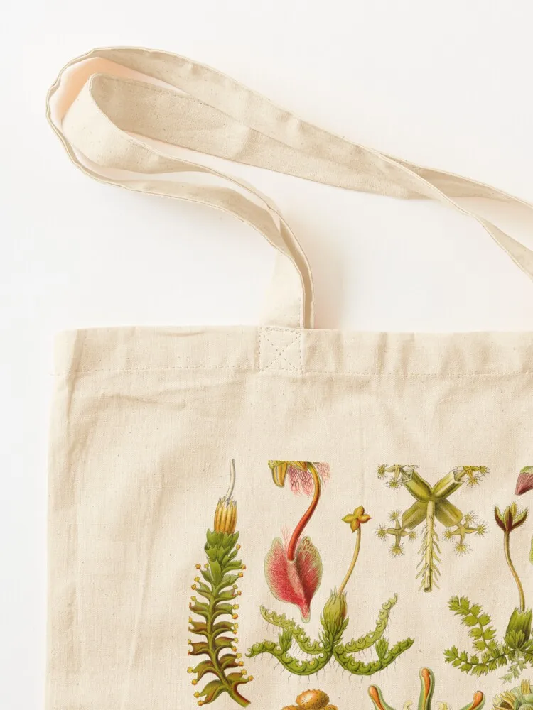 Hepaticae - Ernst Haeckel Tote Bag сумка-тоут на заказ холщовая сумка для покупок подарочная