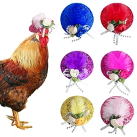 parrot stylish show costum duck rooster cap for hens chicken hats feather top hat pets supplies