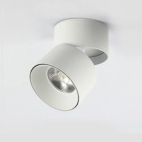 

Складной поворотный потолочный светильник ROANJUNYH 5-25Вт белый/черный