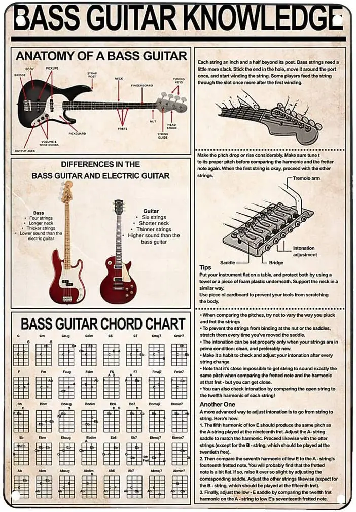 

Vintage Tin Sign Bathroom BASS Guitar Knowledge Outside Home Sign