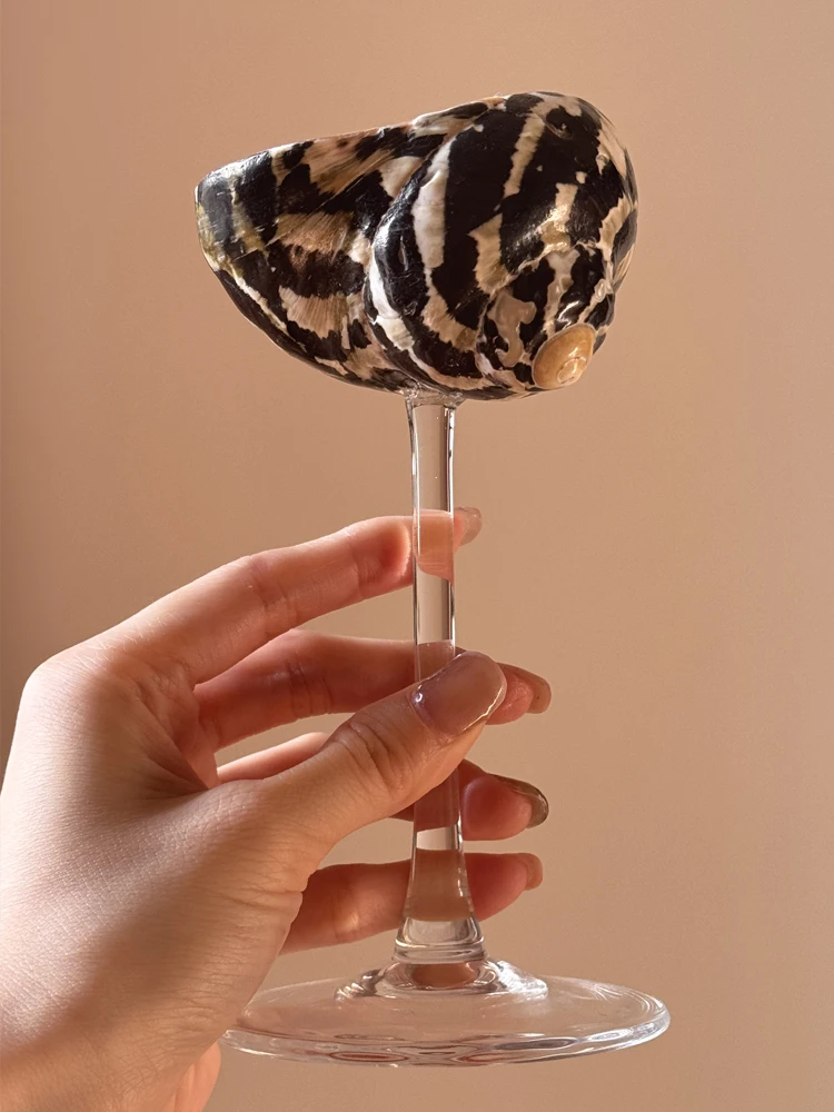 

Ручная чашка из ракушки