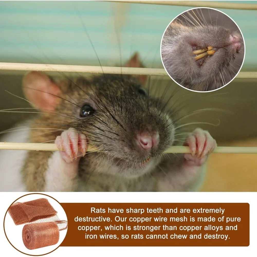 Медная проволочная сетка медная с защитой от насекомых защитная для защиты