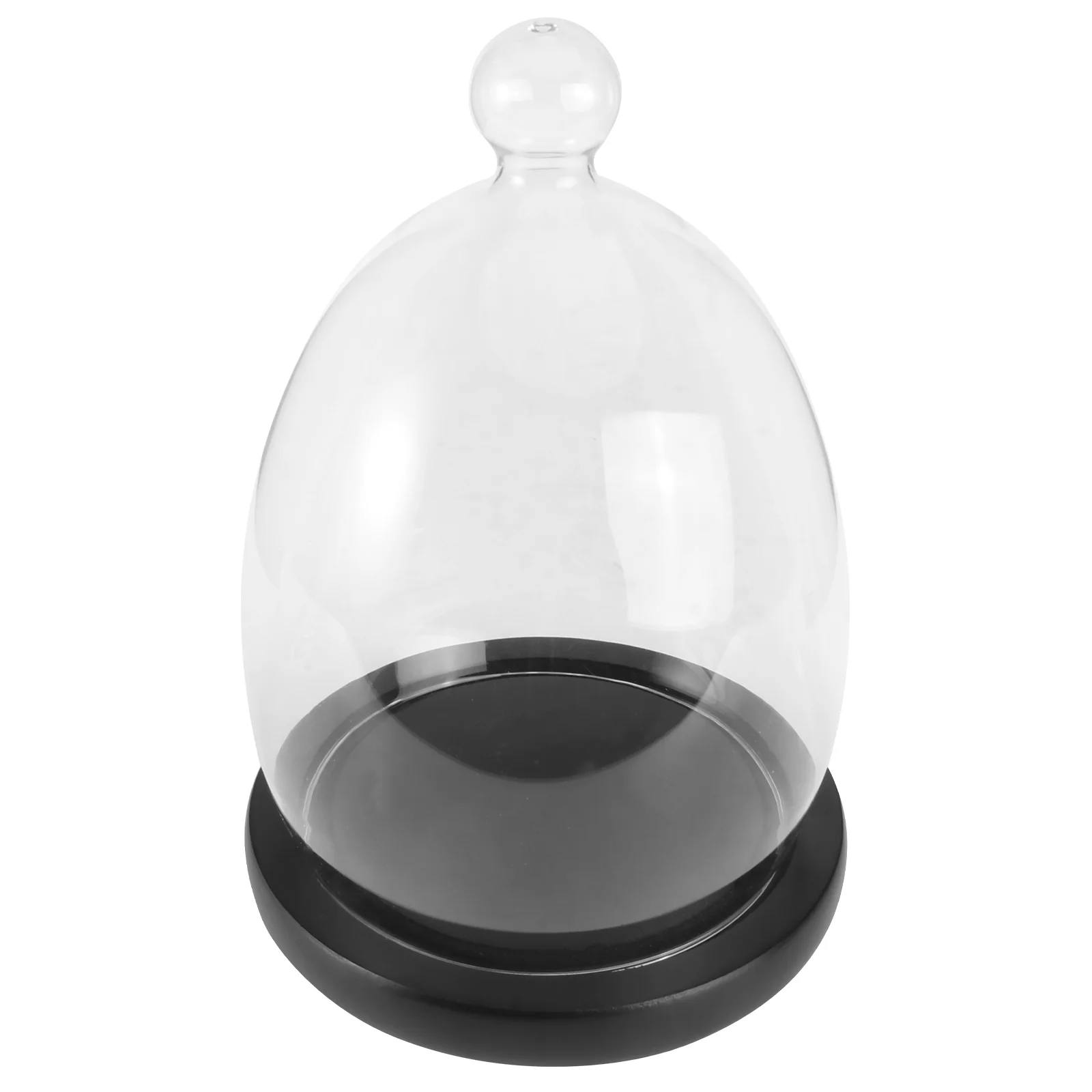 

Glass Cover Dome Cake Display Jar Bellflower Stand Case Holder Terrarium Lids Butter Containers Dish Lid Cheese Eternal Plate