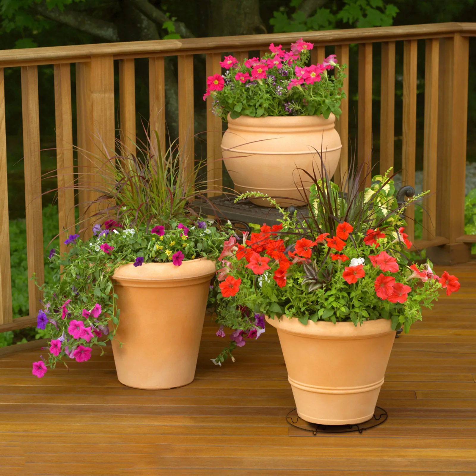 

Planter Stand Round Metal Potted Plant Stand Flower Pot Planter Iron Rack Indoor Display Low Plant Stand Rack Flower Container