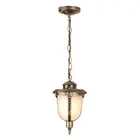 Уличный светильник подвесной Atlas черное золото GLYF-2010H Elektrostandard