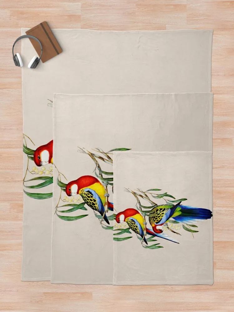 Восточная розелла (Platycertus Eximius) Джона Гуллла пледы декоративные кровати диван