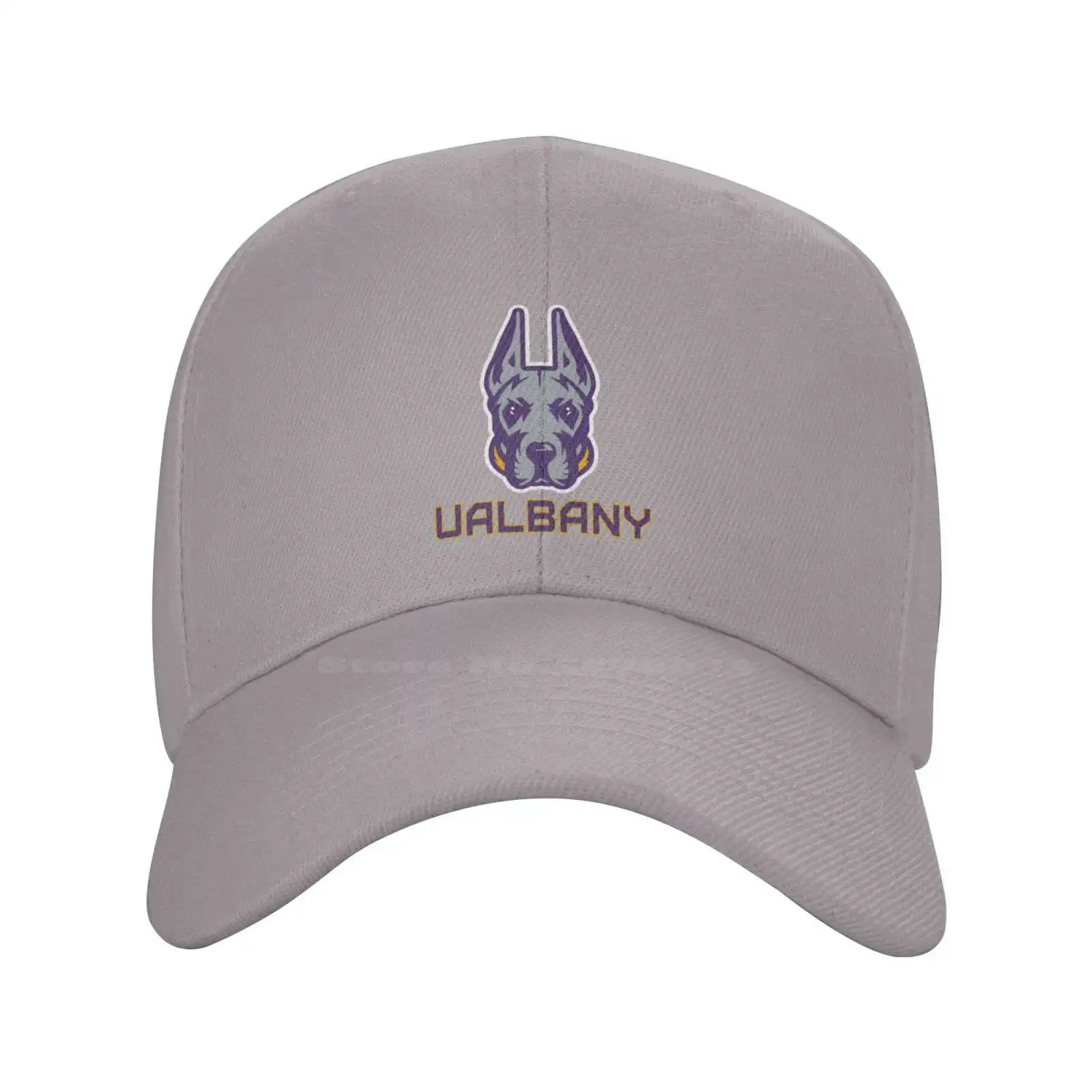 

Albany Great Danes Logo Fashion quality Denim cap Knitted hat Baseball cap