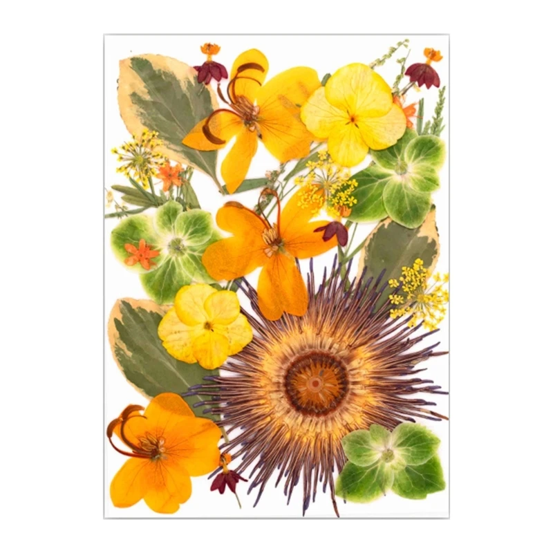 

2025 Новый натуральный прессованный сушеный цветок для эпоксидной смолы, натуральный сухой цветок для художественных промыслов