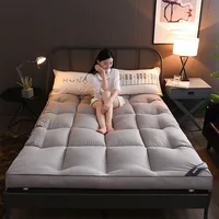 Super Soft Feather Velvet Bed Mattress Keep Warm Winter Floor Tatami Mat Student Dormitory Single Double Bedroom Sleeping Pad