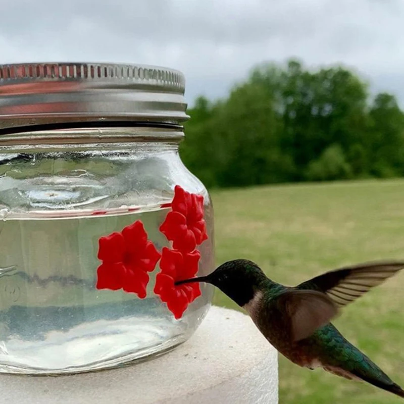 S Bird Products Decorative Mason Jar 3-port Hummingbird Feed