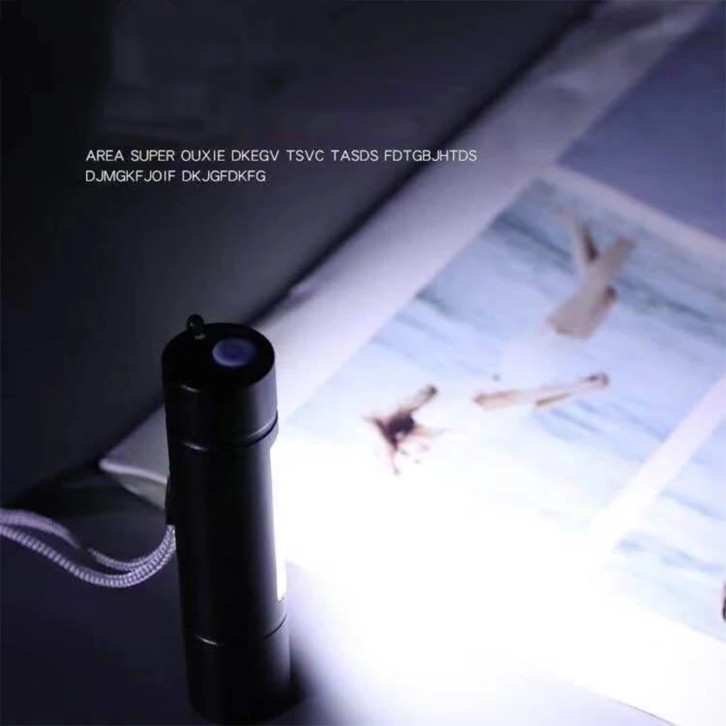 

Portable Pet Detection Flashlight Dimmable Torch Rechargeable Lamp Cash Detecting Working Inspection Lantern Indoor
