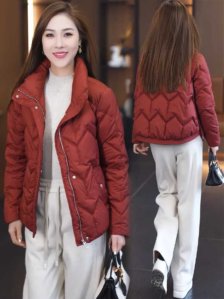 Короткий пуховик с хлопковой подкладкой верхняя одежда для женщин новинка зимы