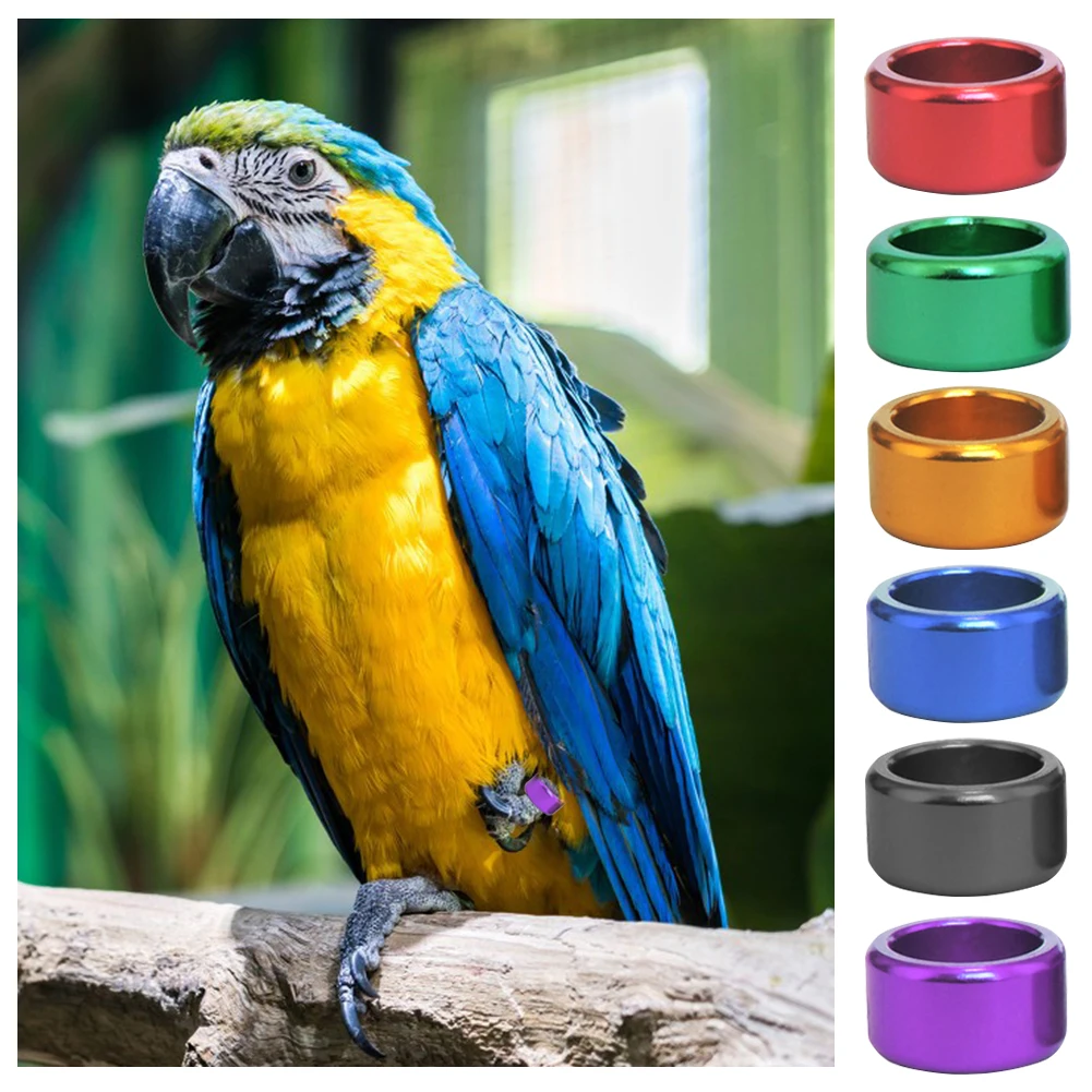 

Кольцо для ног, 6 цветов, 8x6 мм, 10 шт.