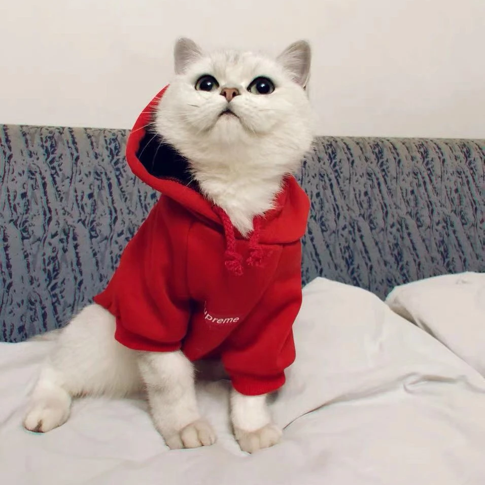 

Stylish Dog Hoodie Dog Clothes Streetwear Cotton Sweatshirt Fashion Outfit for Dogs Cats Puppy Small Medium Large Black Red