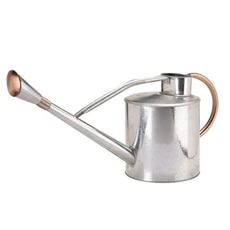 Hot Selling and High Quality Direct factory Sale With Wholesale Cheap price Luxury Unique Design Custom Metal Watering Cans