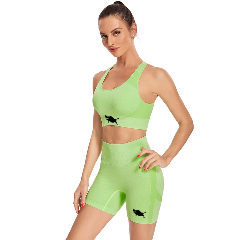 

Casual Sporty Ribbed Women Matching Sets Sleeveless Workout Active Wear Two Piece Outfits Tank Top and Shorts Set Tracksuit