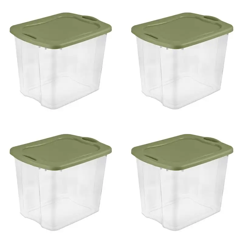 

Qt. EZ Carry Plastic, Clear/Sage Legume, Set of 4