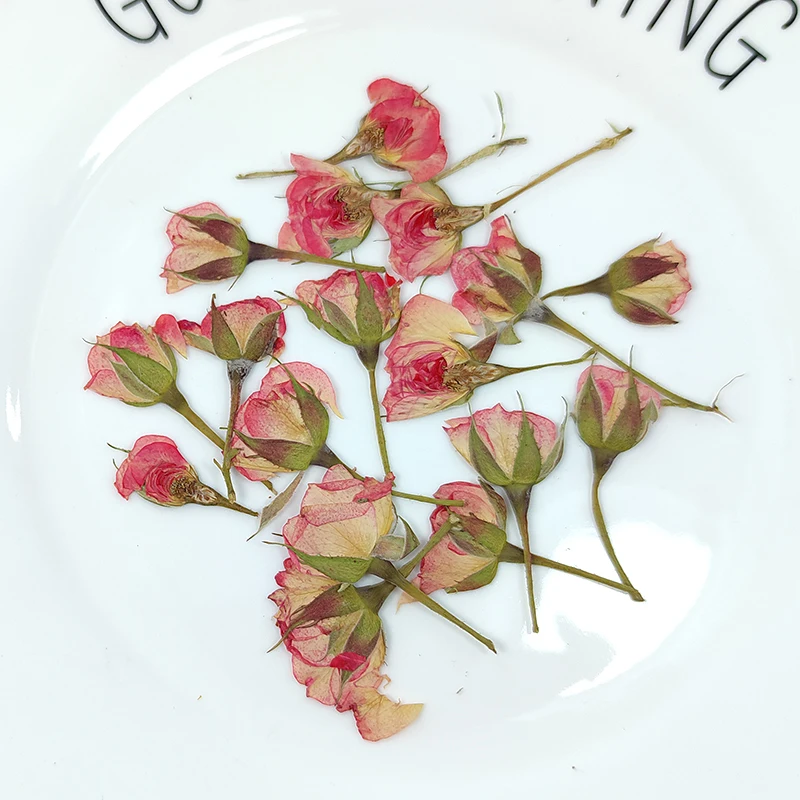 

12pcs/Lot New Dried Flowers Natural Pressed Rose Plants For Epoxy Resin Pendant Jewelry Making Craft DIY Nail Art Accessories