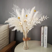 dekoration natural dried pampas grass bouquet dried reed long lasting bouquet for boho natural home decor wedding decor wheat