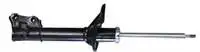 

Store code: PS9416604 for rear shock absorber