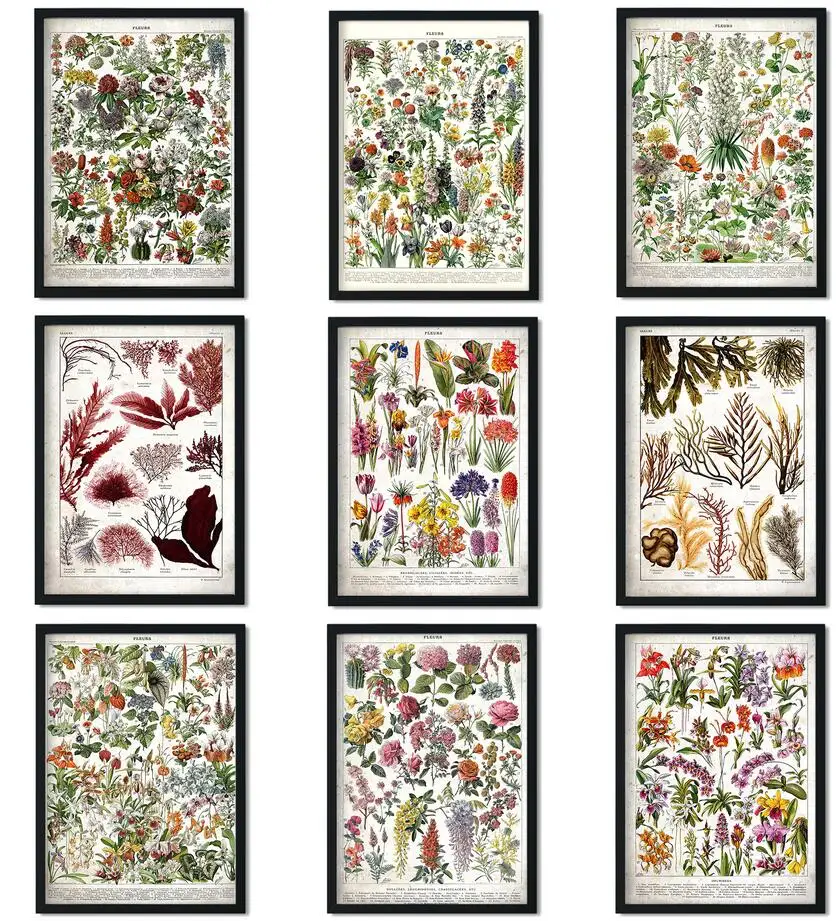 Плакат с дикими растениями ботанический цветок дерево фрукты школьное