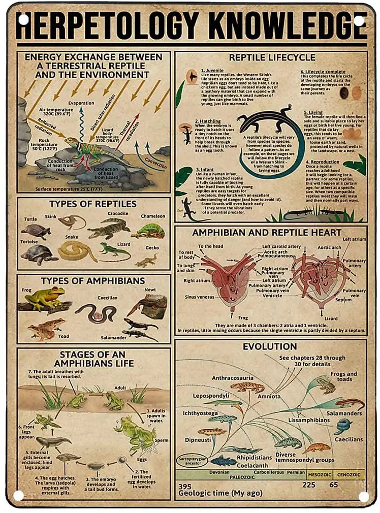 

Metal Tin Signs Retro Metal Signs Vintage Herpetology Knowledge Basement Decorations