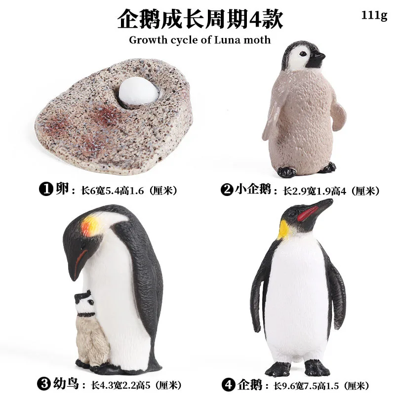 

Simulation Of Solid Static Marine Life Penguin Growth Cycle Antarctic Animal Model Little Emperor Penguin Early Education Toy