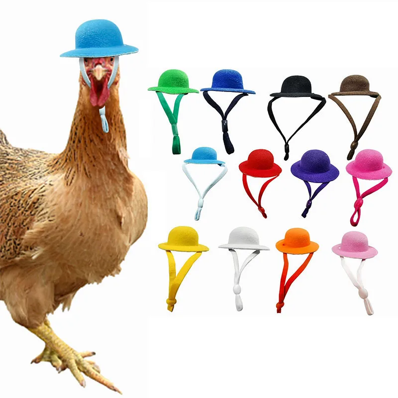 

Chicken Hat For Hens Tiny Pets Funny Chicken Accessories Hen Top Hat For Rooster Duck Parrot Hamster Poultry Stylish Show Costum