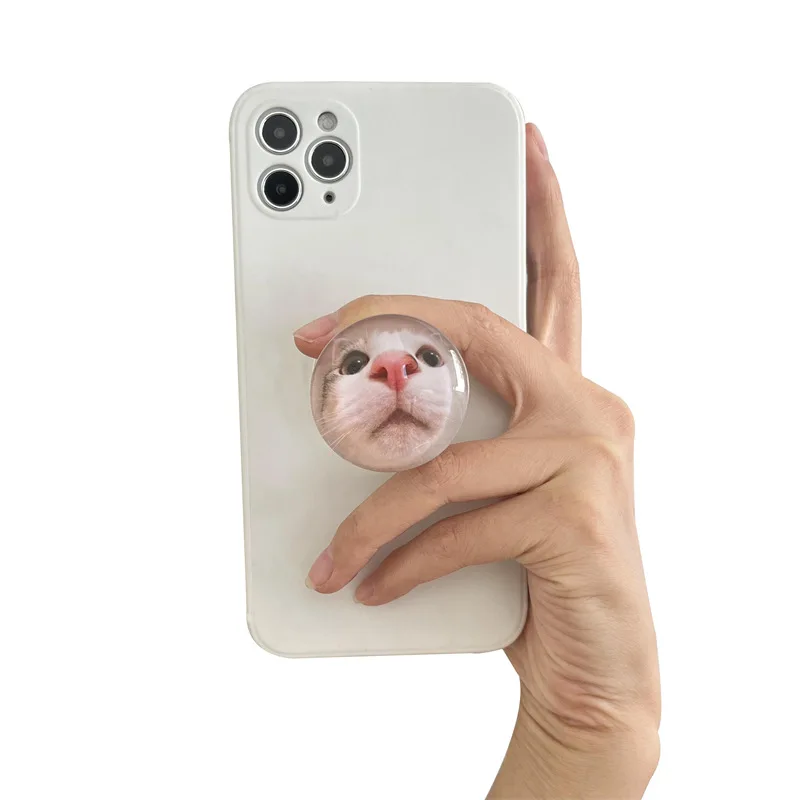 

Cute Animal Phone Grips Holder / kawaii Acrylic Phone Accessories Cartoon Cat /Penguin Grip Tok Stocking gift for Men Women KL3