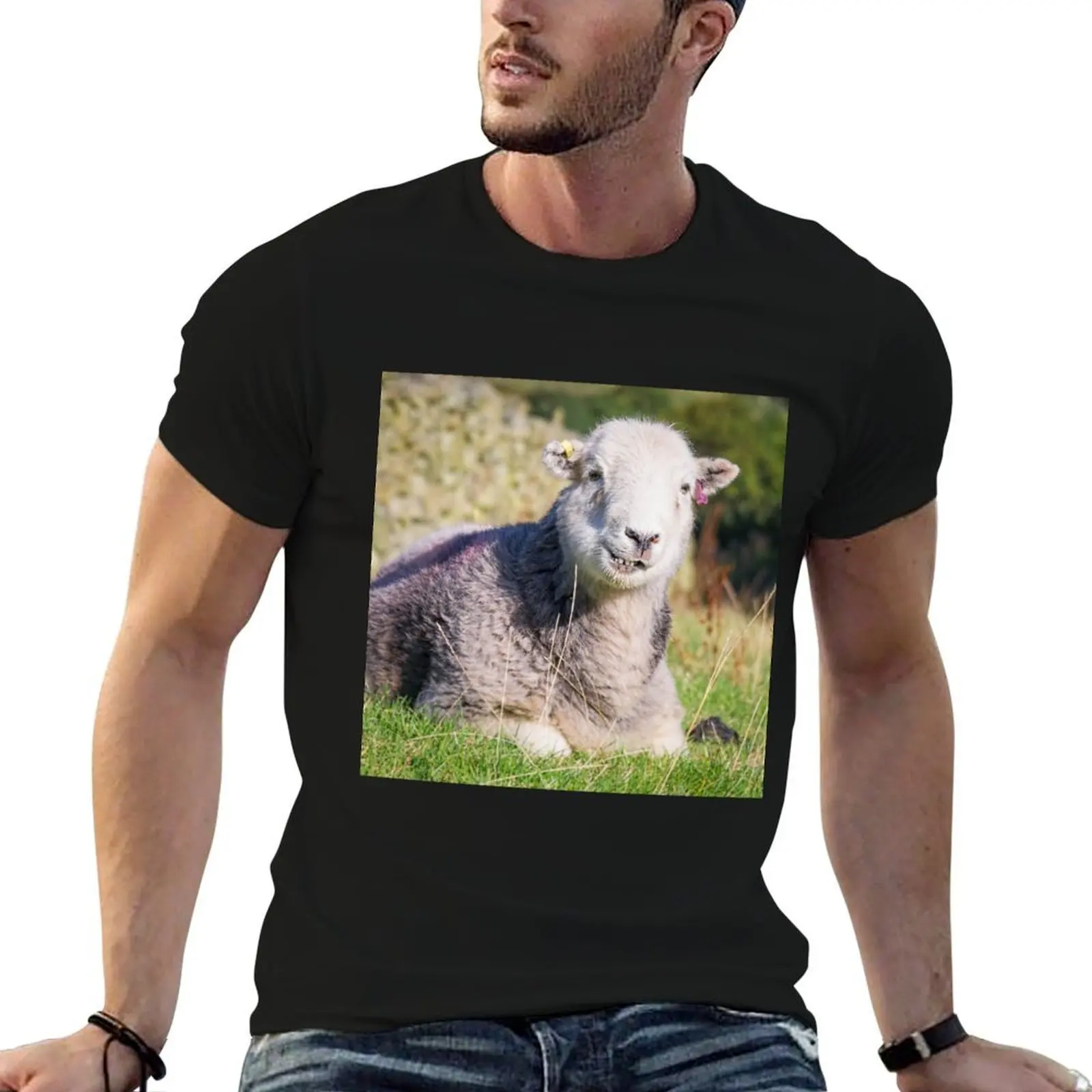 Фото Футболка Happy Herdwick Sheep, Lake District, повседневная базовая футболка в уличном стиле №1