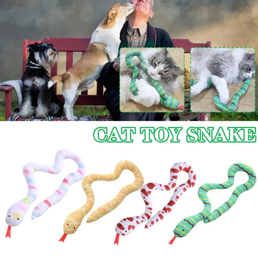 Catnip Toy Plush Greedy Snake Bite Resistant Interactive Toys For Cats Dog Pet Supplies Cat Accessories C3x1