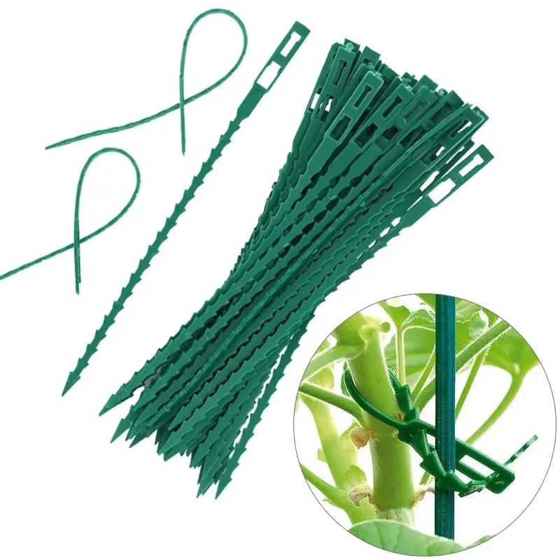 

Многоразовые пластиковые зажимы для поддержки растений, 50 / 100 шт., зажимы для подвешивания растений, фиксированная веревка, можно использовать повторно, кабельные стяжки