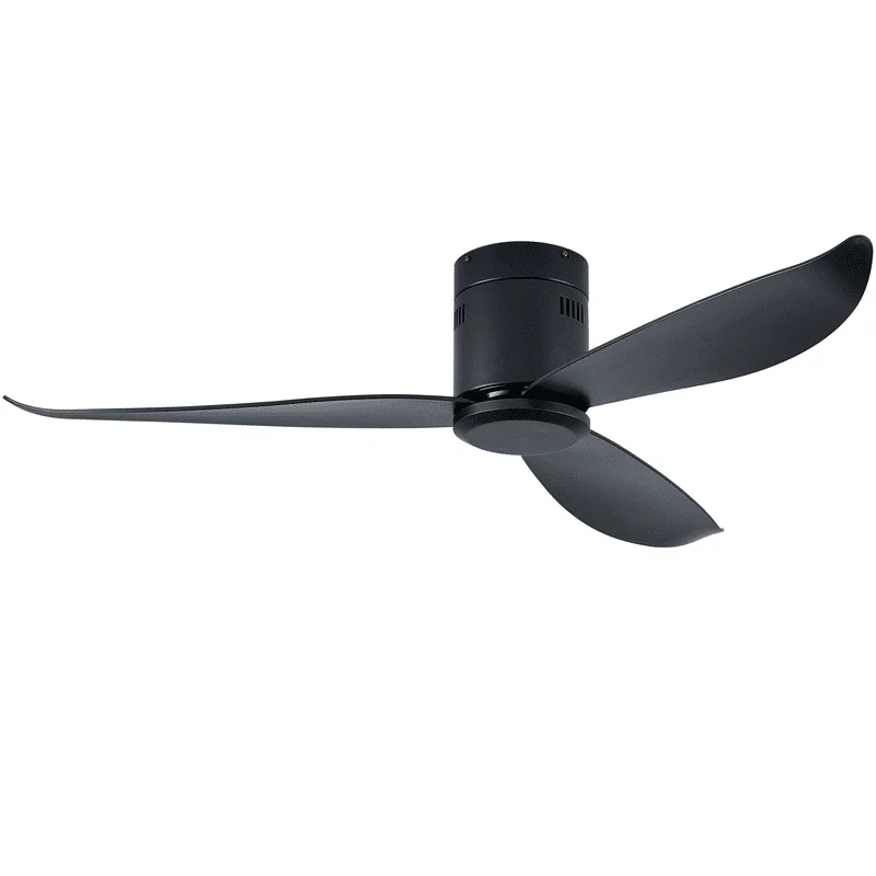 

Low Profile Ceiling Fan Light, Black Flush Mount Remote Control Ceiling Fan without Light for Bedroom