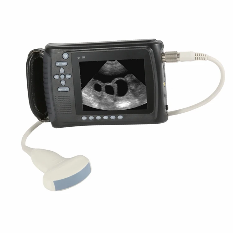 

Digital handheld palm veterinary Ultrasound Pet ultrasound