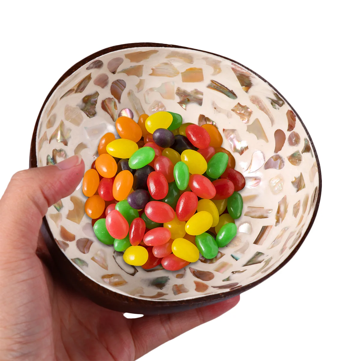 

Fruit Containers Nut Plate Nuts Spaghetti Coconut Shell Bowl Salad Keys Storage