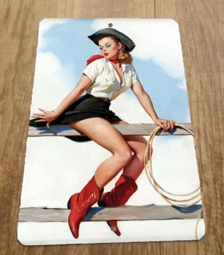 Cowgirl сидит на заборе с лассо арт 8x12 металлическая стена винтажный постер Misc знак