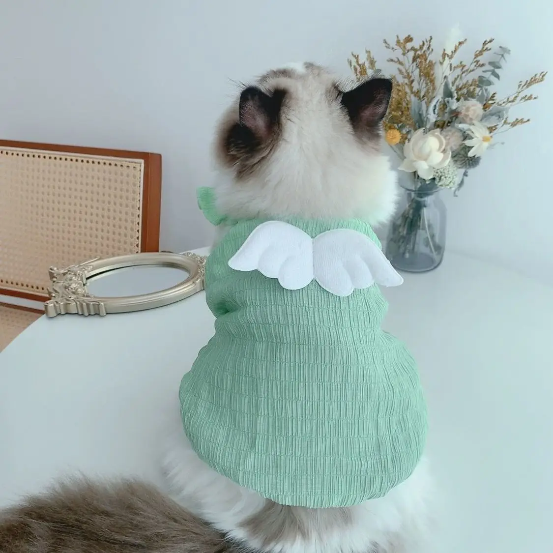 

Жилеты для собак, одежда для маленьких собак, одежда для кошек, летнее платье, юбка, товары для йоркширских терьеров, товары для щенков