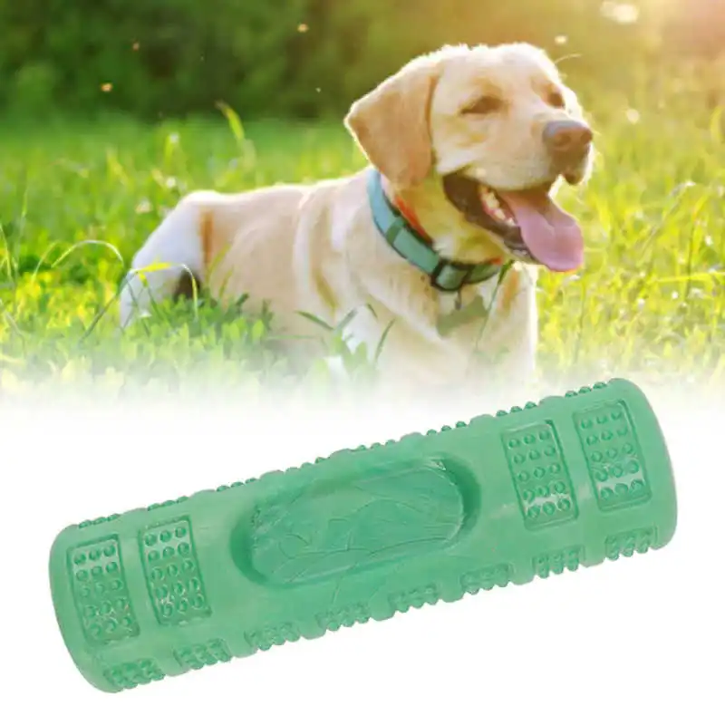 

Dog Molar Stick Toy Innovative Interactive Resistance to Bite Durable Pet Dog Chew Toy for Medium and Small Sized Dogs