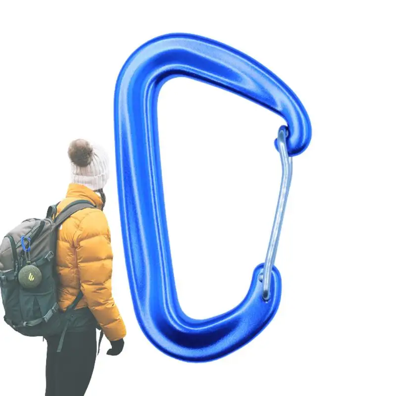 

Carabiner Keychain D Shaped Keychain Carabiner Strong Metal Clips Portable D Ring Clip For Gym Hiking Backpacking