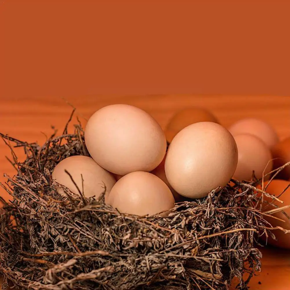 Новинка, Реалистичная поддельная резиновая игрушка, игрушка для детей X6z5, 1 шт.