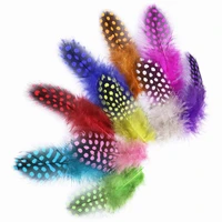 wholesale natural guinea feathers for home decoration handwork diy crafts 45 80 mm pheasant plumes fly tying 50100300pcs