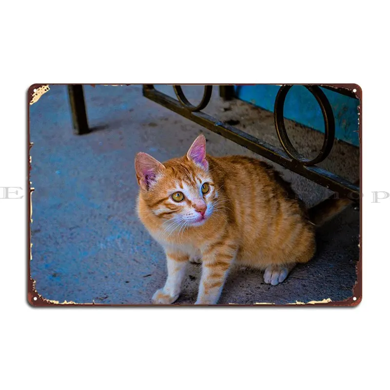 

Yellow Cat Metal Sign Mural Party Designing Designing Cinema Tin Sign Poster