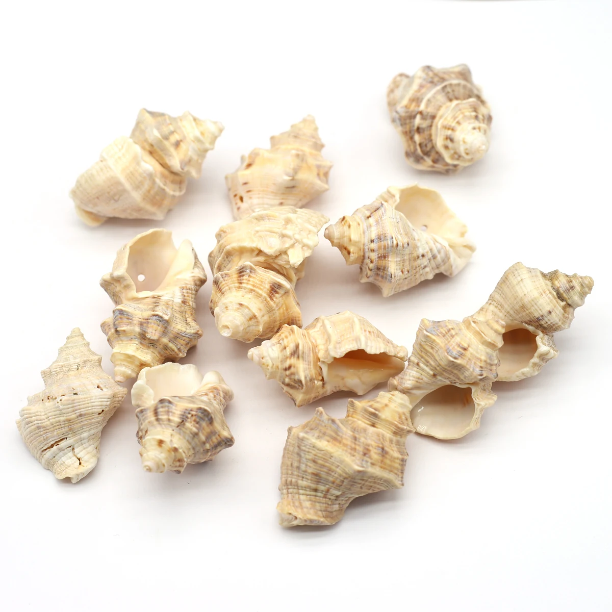 

Natural Shell Beads Stone Snail with Hole Charms for Jewelry Making Women Gift Necklace Bracelet Accessories