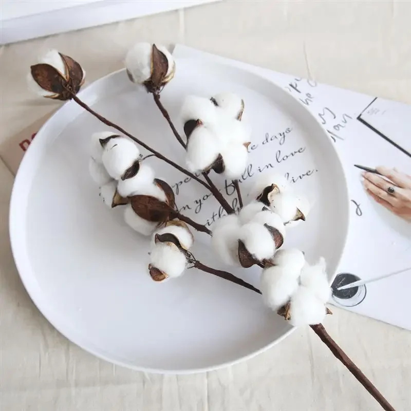 

Artificial Dried Cotton Flowers White Flower Branch For Wedding Party Decoration Fake Flower Home Flower Decor Eucalyptus Leaves